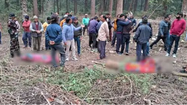 देहरादून कै जंगल में गए एक बुजुर्ग दम्पति को हाथी ने पटक कर मार डाला I