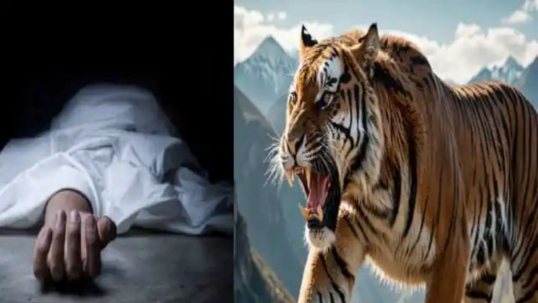रामनगर में बिजरानी रेंज के जंगल में पत्नी और बेटे के साथ लकड़ी लेने गए कॉर्बेट के संविदा कर्मचारी को बाघ ने हमला कर मार डाला।